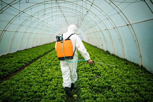 Best Wildlife Control Services  in Pacheco, CA