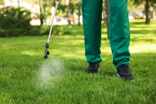 Best Pest Removal Services  in Pacheco, CA