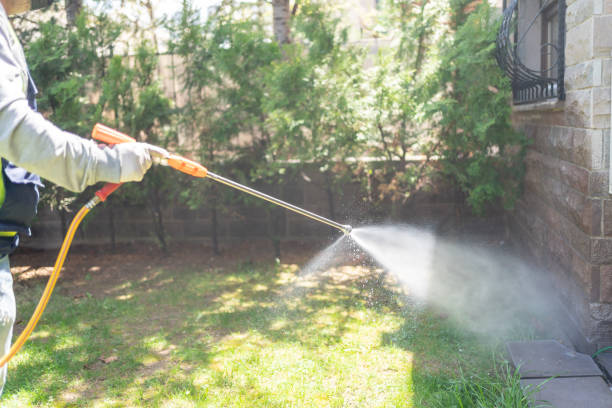 Best Affordable Pest Control Services  in Pacheco, CA