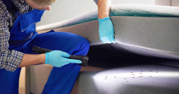 Best Cockroach Control Services  in Pacheco, CA