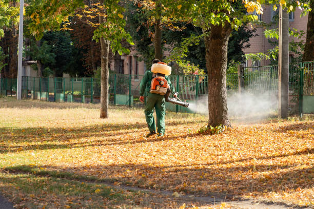 Best Pest Control Near Me  in Pacheco, CA