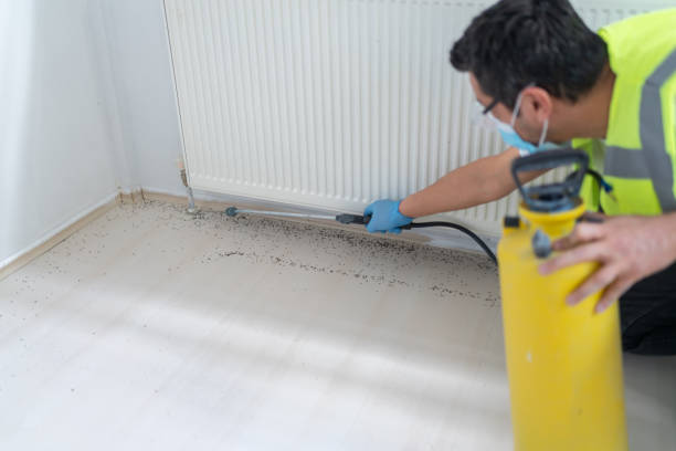 Best Pest Prevention Services  in Pacheco, CA